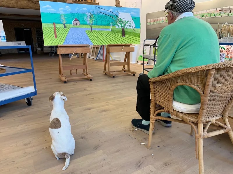 David Hockney's Normandy