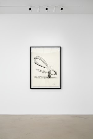 Andy Warhol - Flowers (Black and White) (FS II.107)
