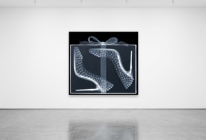 Nick Veasey - Christian Louboutin, Pigalle Follies 1c1s