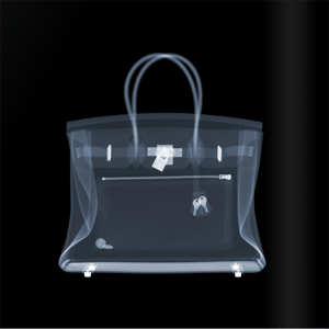 Nick Veasey - Hermes Birkin Bag