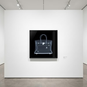Nick Veasey - Hermes Birkin Bag