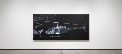 Nick Veasey - The Fly Away