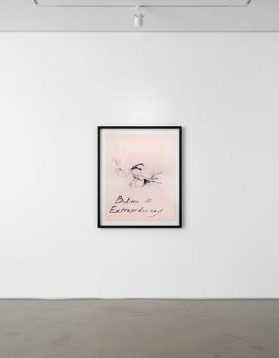 Tracey Emin - Believe In Extraordinary, 2015