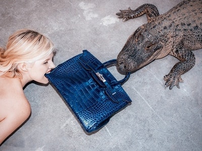 Tyler Shields - Gator Birkin III, 2012