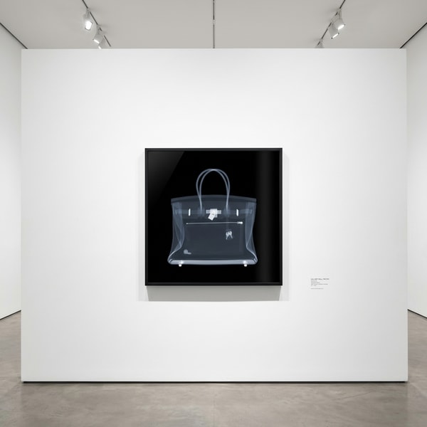 Hermes Birkin Bag