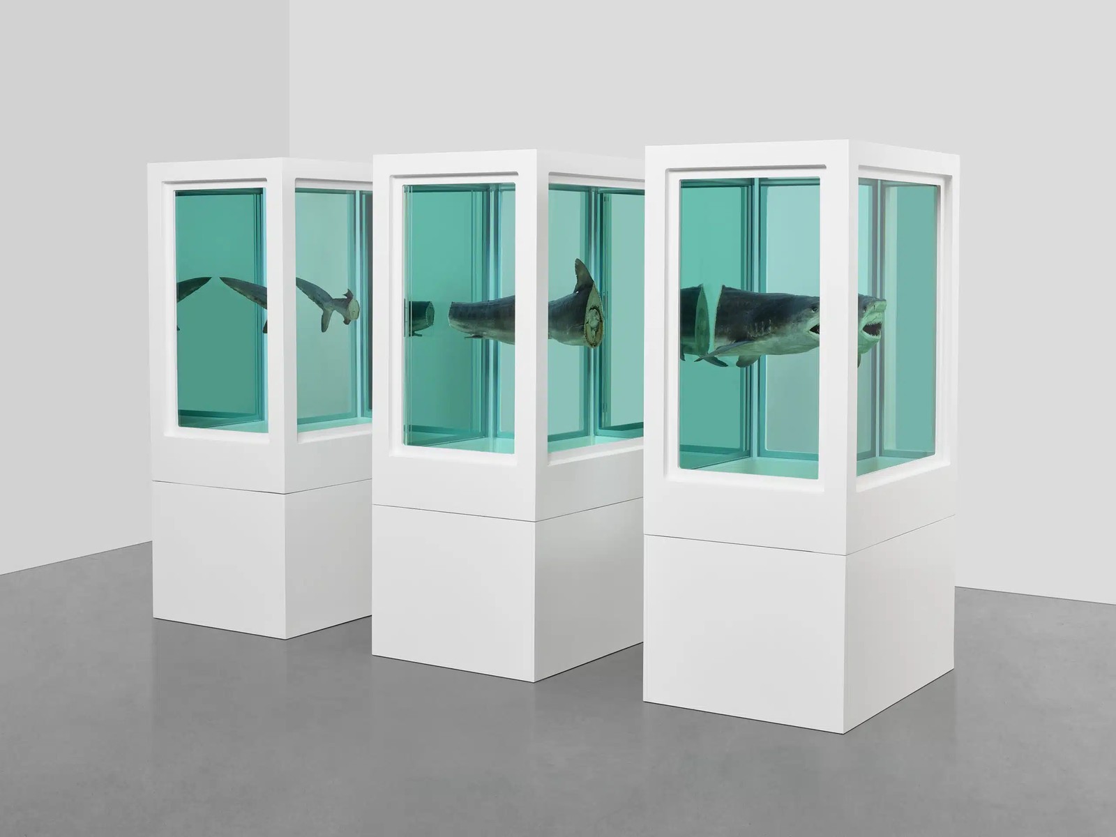 Damien Hirst: Most Expensive Artworks