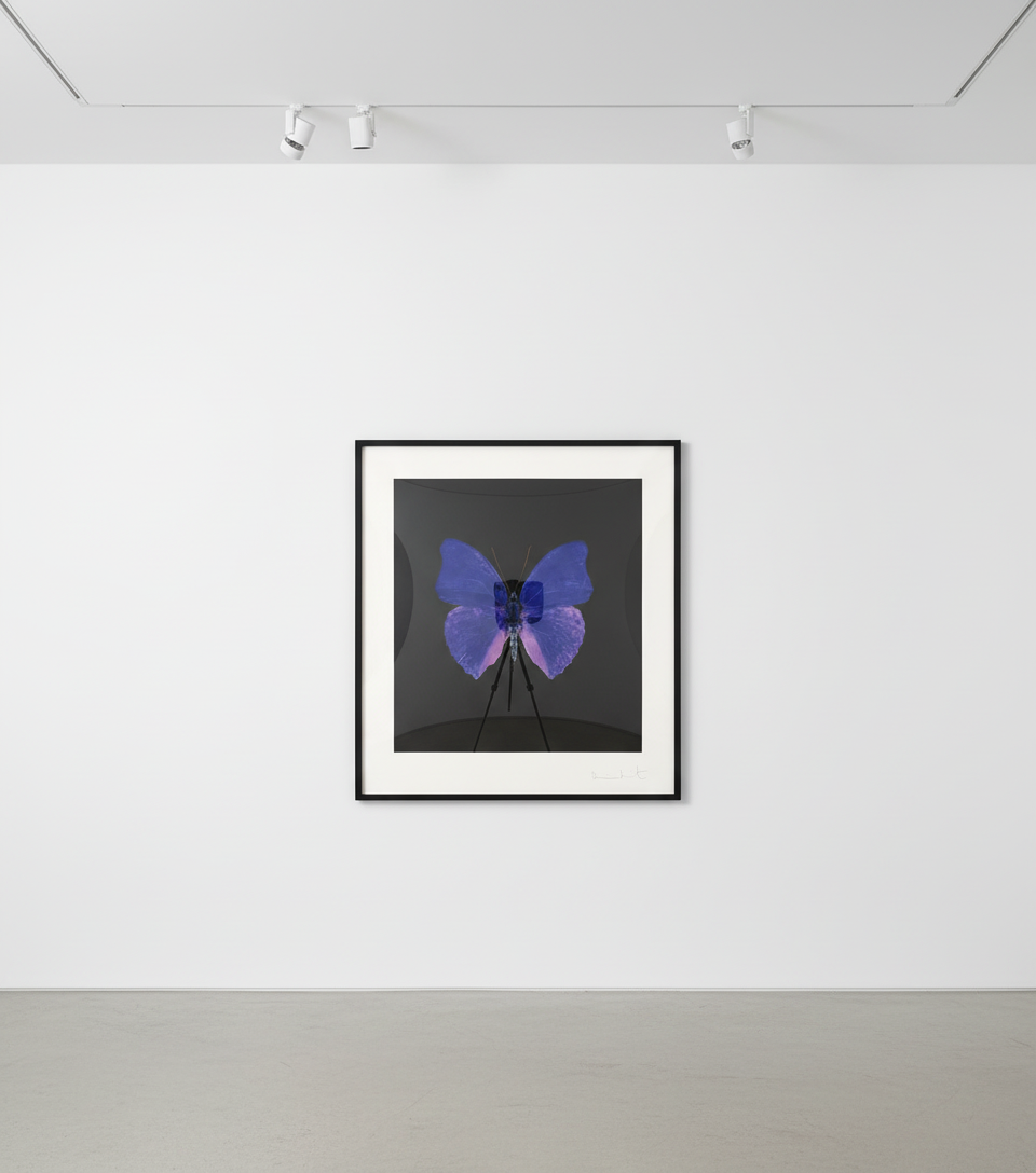 Damien Hirst - The Souls on Jacob's Ladder Take Their Flight (AP), 2007, Etching