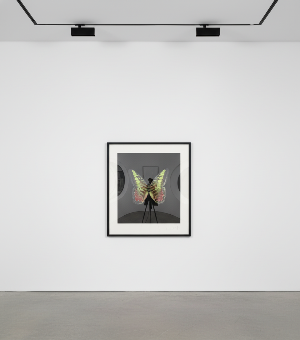 Damien Hirst - The Souls on Jacob's Ladder Take Their Flight (Large Red / Green Butterfly), 2007, Hand-inked photogravure ...