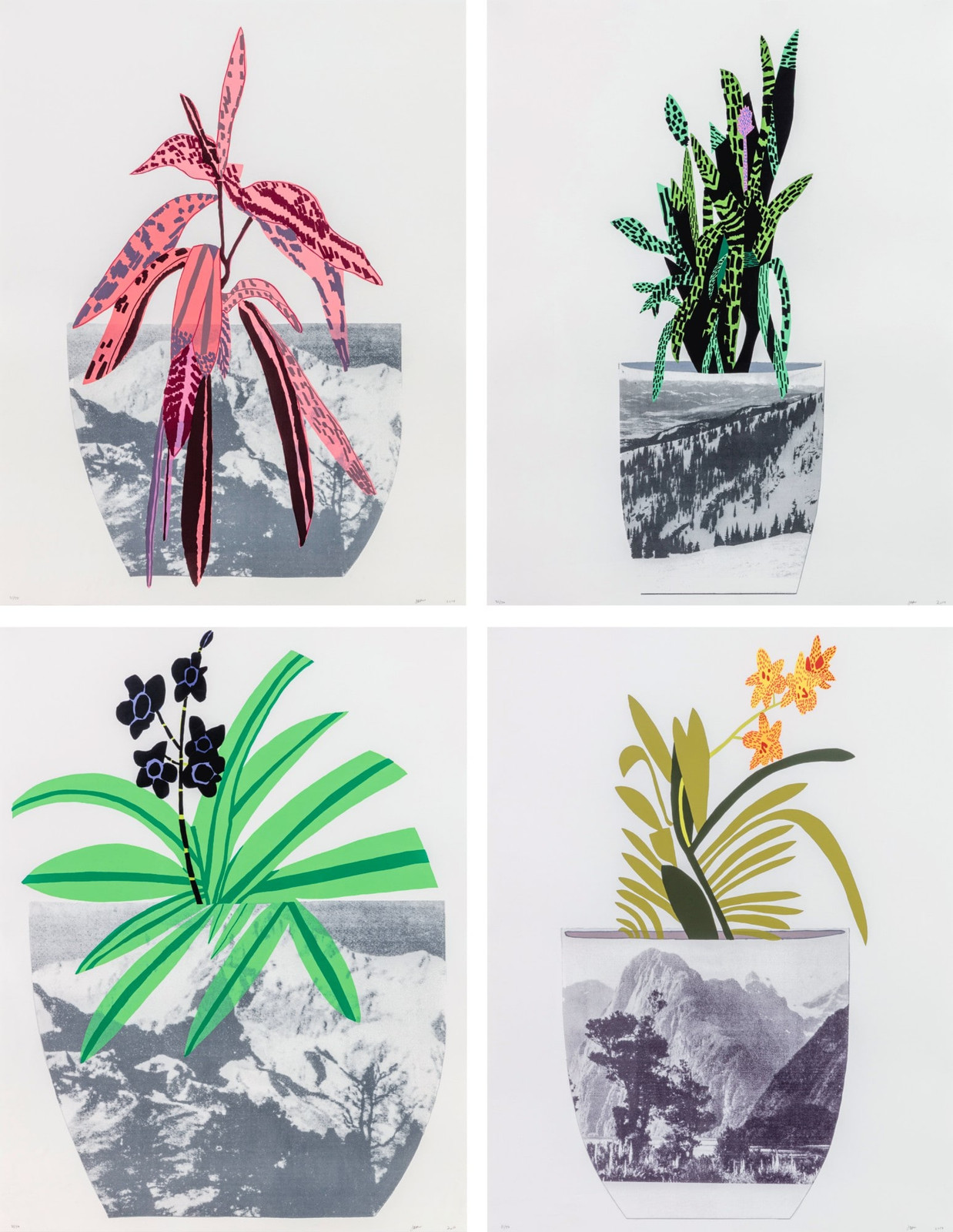 Jonas Wood - Untitled, 2003, Charcoal on thick paper