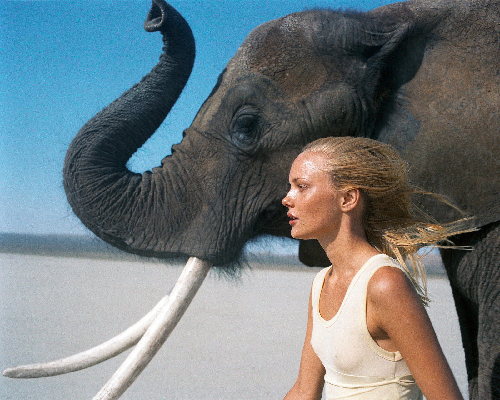 Michel Comte - Beauty and the Beast (Elephant), Archival pigment print