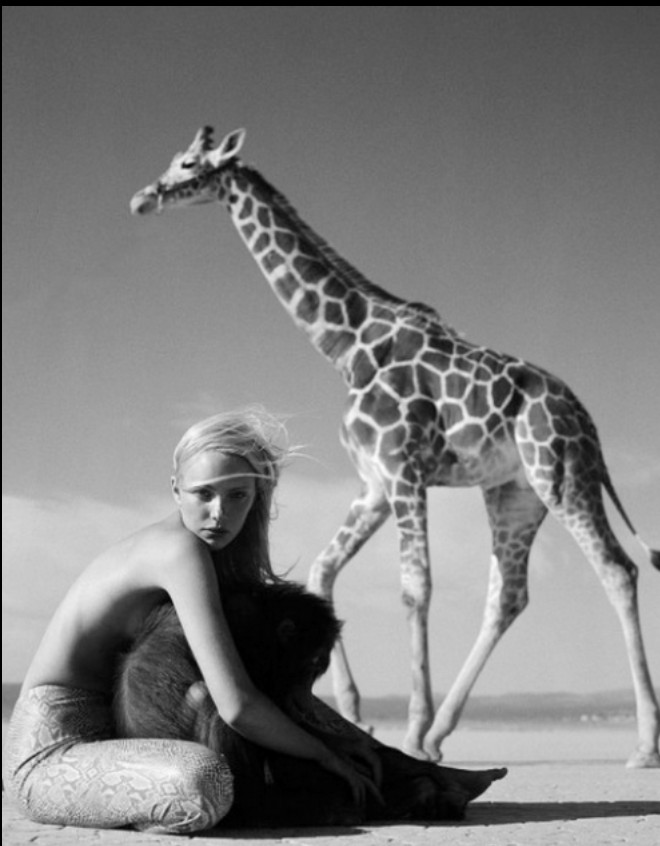 Michel Comte - Beauty and the Beast (Giraffe II), 1996, C-print photograph