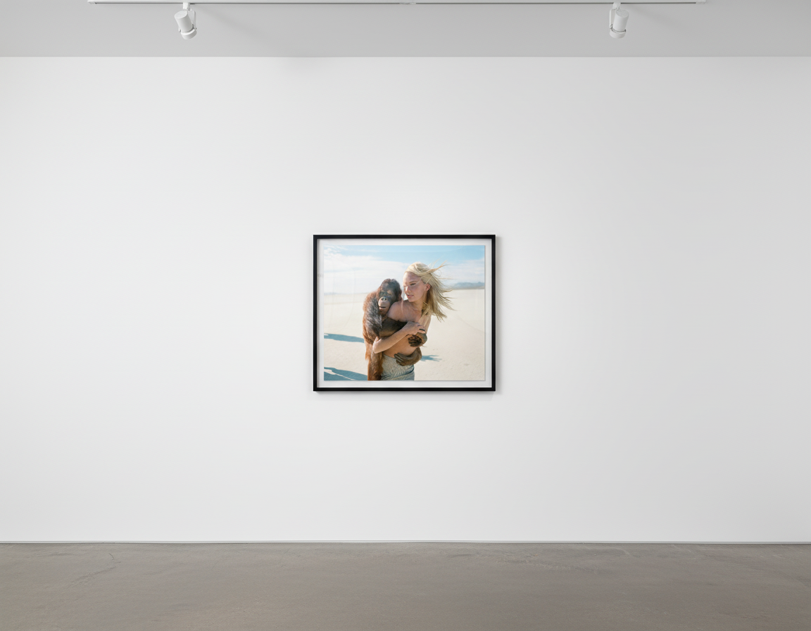 Michel Comte - Beauty and the Beast (Orangutan II), Archival pigment print