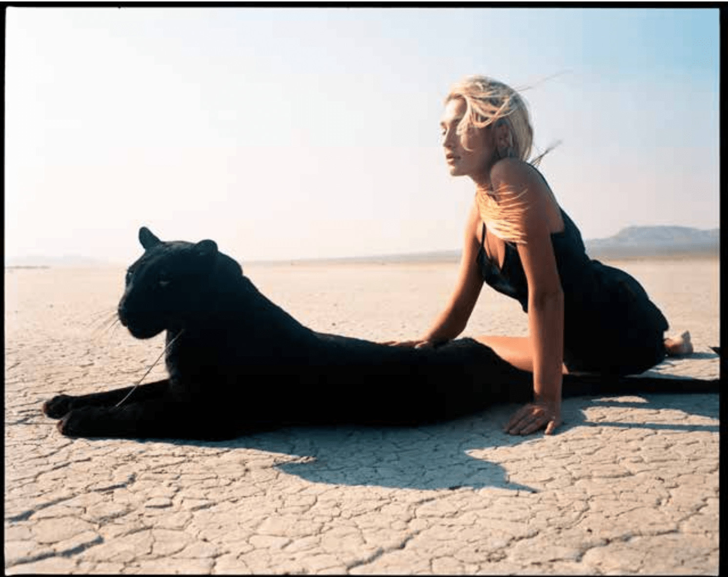 Michel Comte - Beauty and the Beast (Panther), 1996, Archival pigment print