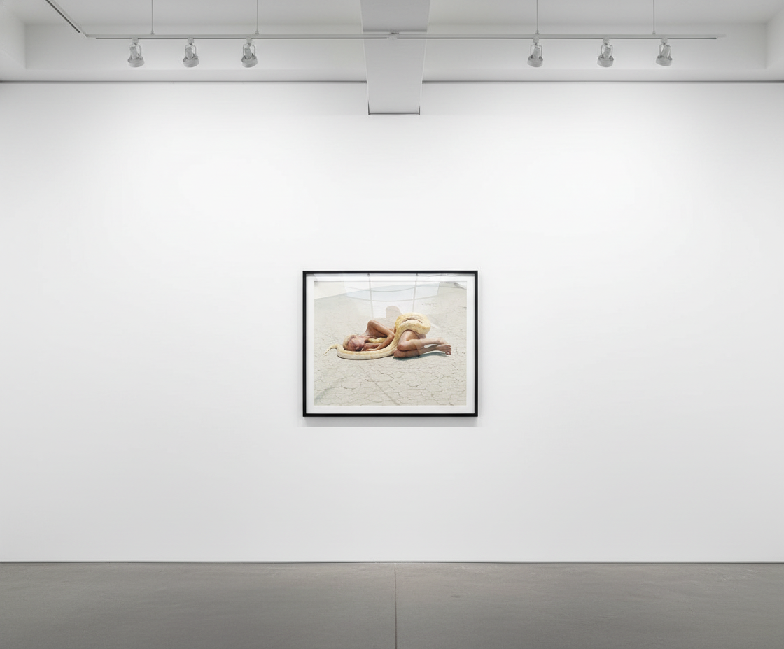 Michel Comte - Beauty and the Beast (Snake), Archival pigment print