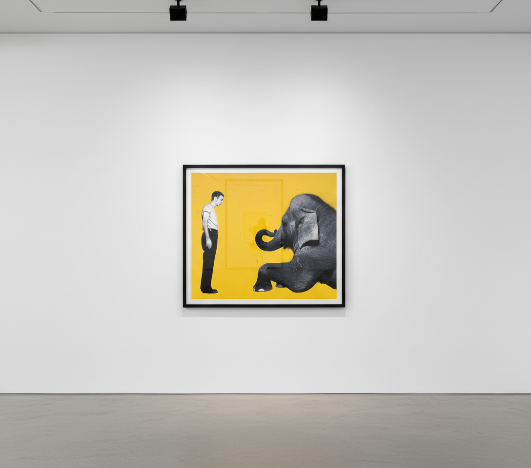 Michel Comte - David Bryne, GQ (yellow), 1991, Digital c print