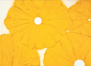Donald Sultan - Four Yellow Poppies April 24