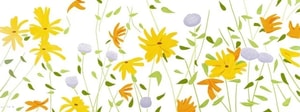 Alex Katz - Summer Flowers