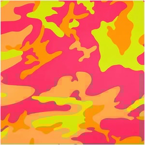 Andy Warhol - Camouflage F.S. II 409