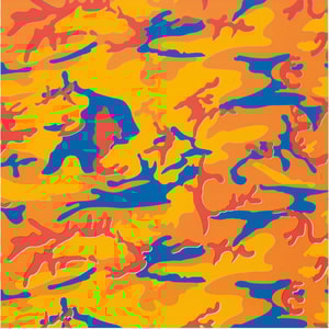 Andy Warhol - Camouflage Trial Proof TP 4/84