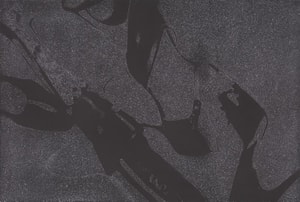 Andy Warhol - Diamond Dust Shoes  Complete Portfolio (F.S. II 248 - 252), (Deluxe Edition)