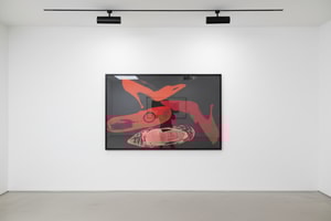 Andy Warhol - Diamond Dust Shoes F.S II 256