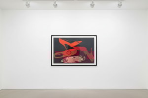 Andy Warhol - Diamond Dust Shoes F.S II 257