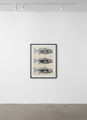 Andy Warhol - Fish F.S. IIIA 39