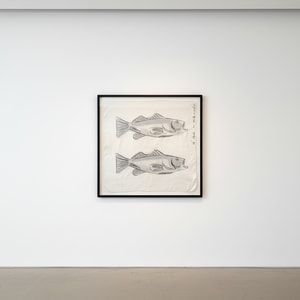 Andy Warhol - Fish F.S. IIIA 40