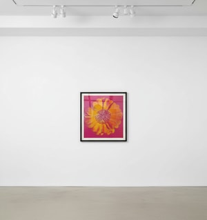 Andy Warhol - Flower For Tacoma Dome F.S. IIIA 37