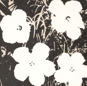 Andy Warhol - Flowers Black & White