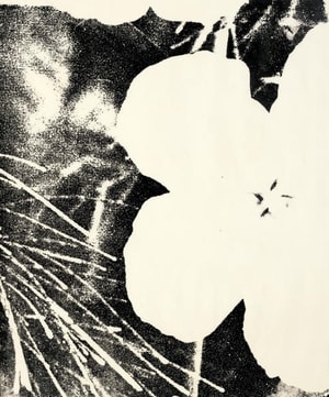 Andy Warhol - Flowers F.S. IIIA 14 (C)