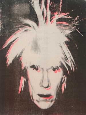 Andy Warhol - Fright Wig