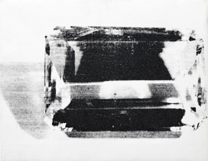 Andy Warhol - Gem F.S. IIIA 17 (A)