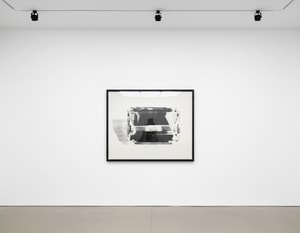 Andy Warhol - Gem F.S. IIIA 17 (A)