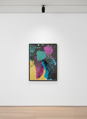 Andy Warhol - Grapes F.S. II 195