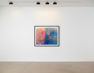 Andy Warhol - Kiku F.S. II 309