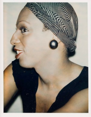 Andy Warhol - Ladies and Gentlemen (Wilhelmina Ross)