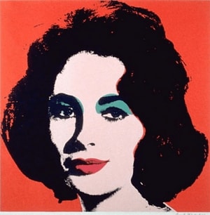 Andy Warhol - Liz F.S. II 7