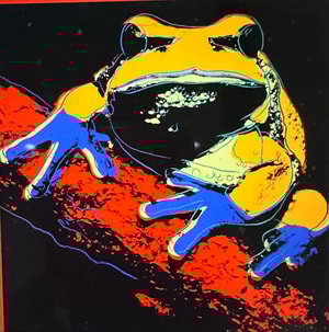 Andy Warhol - Pine Barrens Tree Frog F.S. II 294