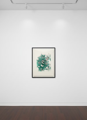 Andy Warhol - Poinsettias F.S. IIIA 51