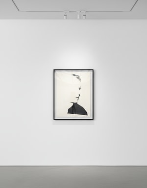 Andy Warhol - Self Portrait F.S. IIIC 25