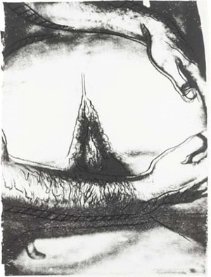 Andy Warhol - Sex Parts (FS II.173)