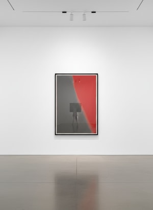 Andy Warhol - Shadows I F.S. II 209