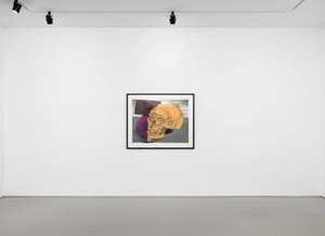 Andy Warhol - Skull F.S. II 157