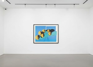 Andy Warhol - Space Fruit: Still Lifes, Cantaloupes F.S. II 201