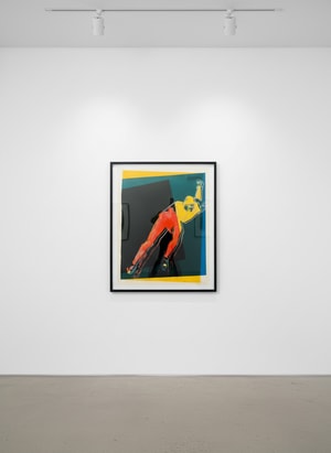 Andy Warhol - Speed Skater (FS, II 303)