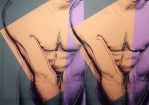 Andy Warhol - Torso (Double) F.S. IIIA 35