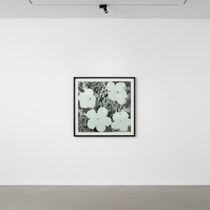 Andy Warhol - White Flowers