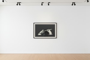 Banksy - HMV Dog (Signed)