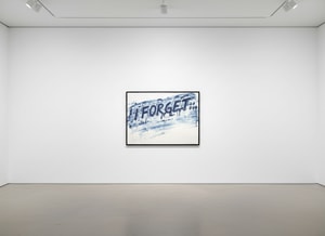 Mel Bochner - I Forget